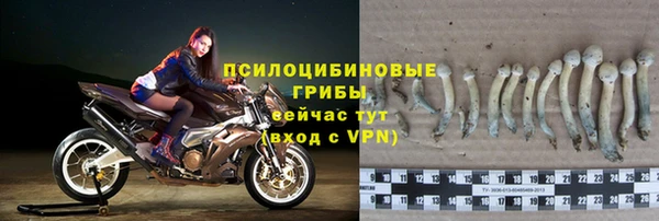 дурь Абдулино