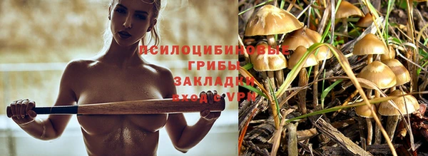 дурь Абдулино