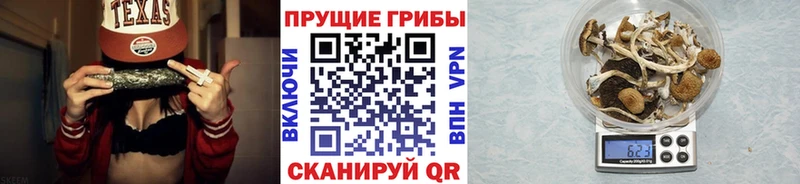 Псилоцибиновые грибы мухоморы  KRAKEN зеркало  Усмань 